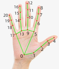 Hand key point diagram